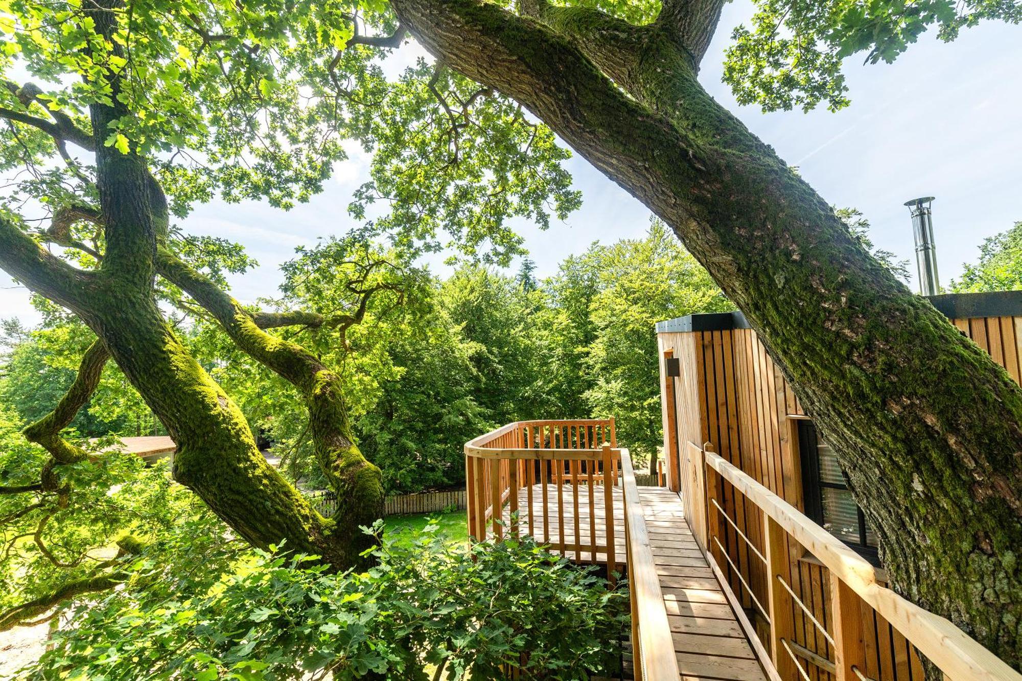 Heide Ferien - Hof Bockelmann Apartamento Bispingen Quarto foto