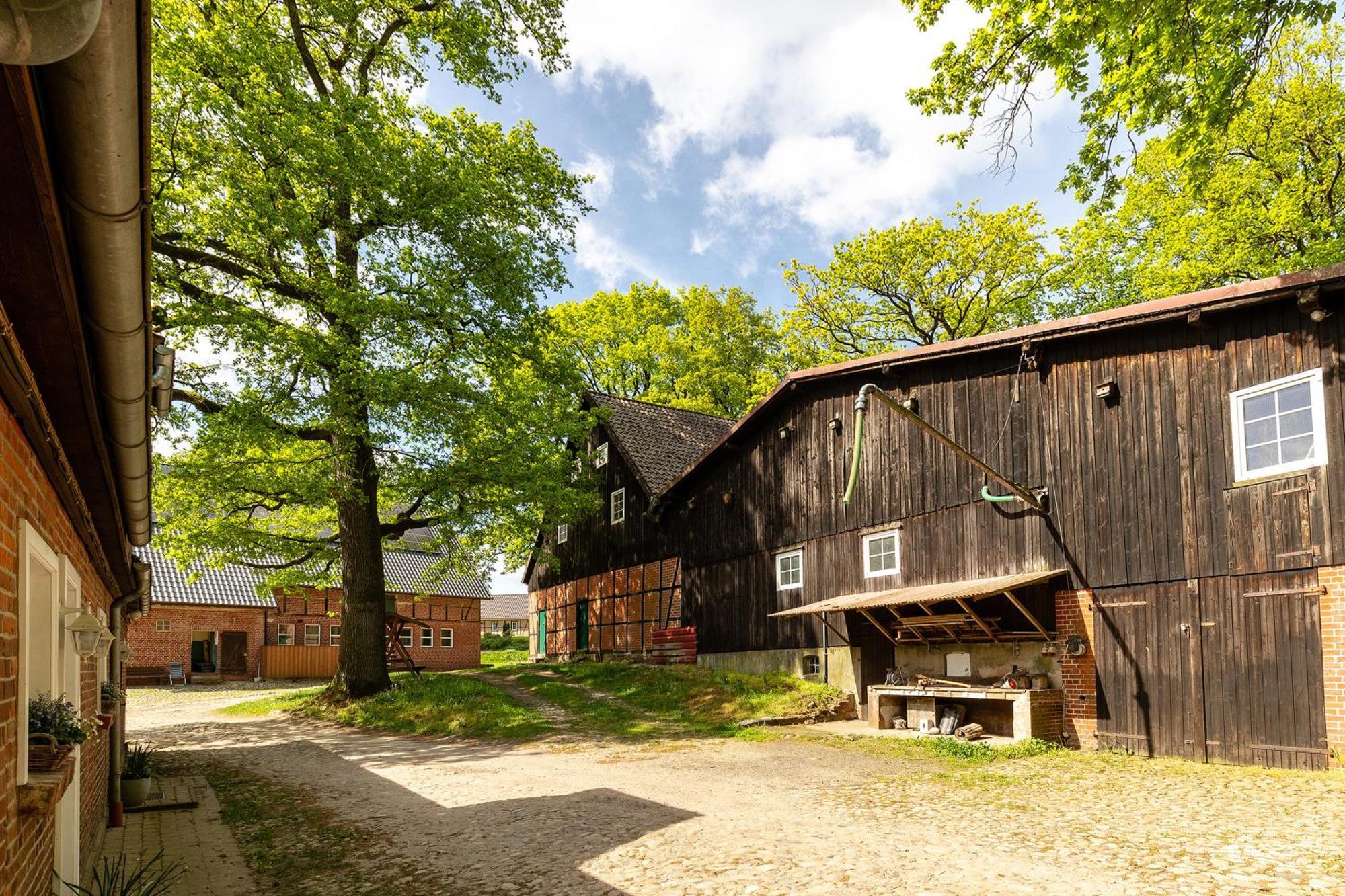 Heide Ferien - Hof Bockelmann Apartamento Bispingen Exterior foto