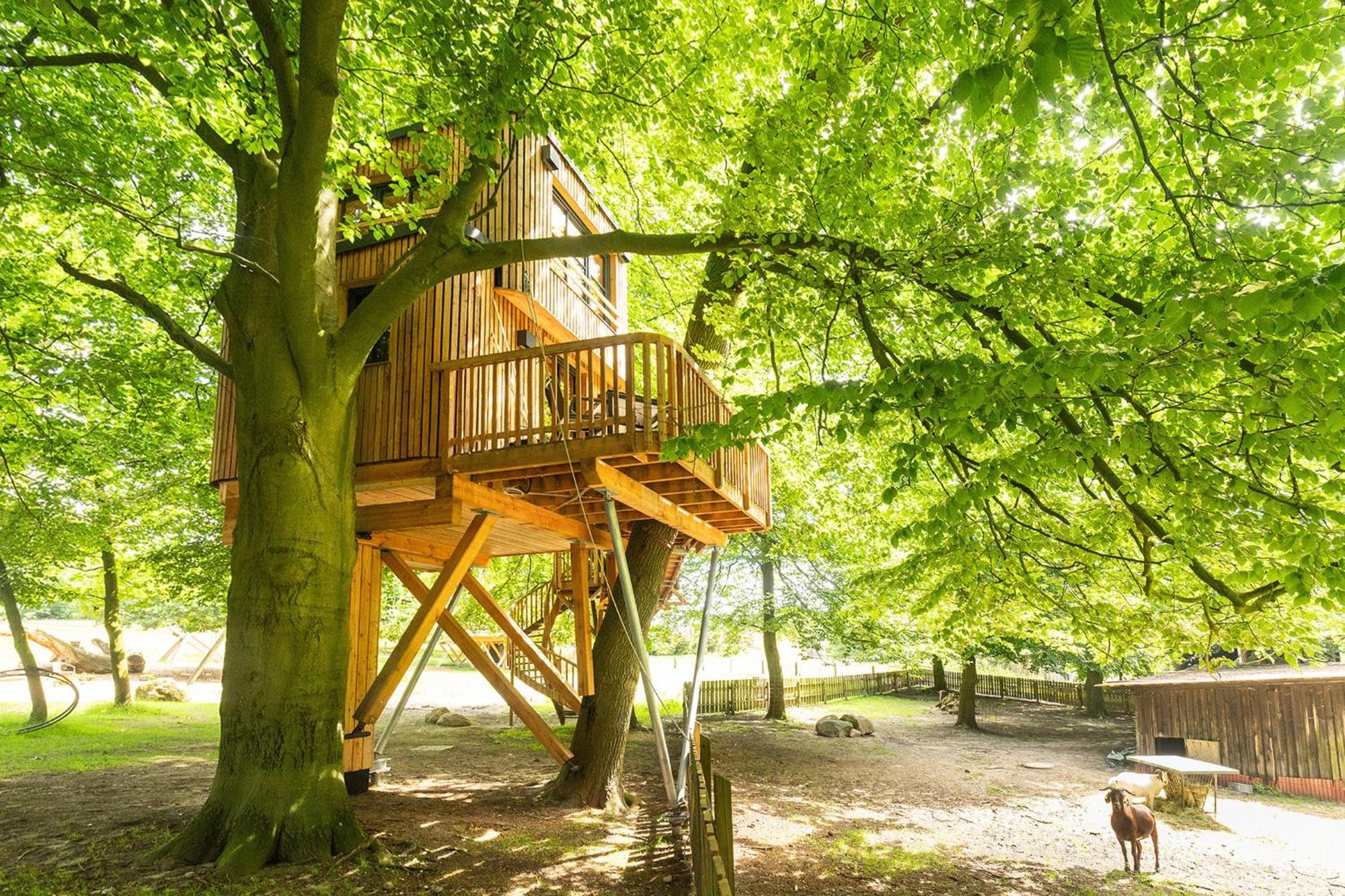 Heide Ferien - Hof Bockelmann Apartamento Bispingen Exterior foto
