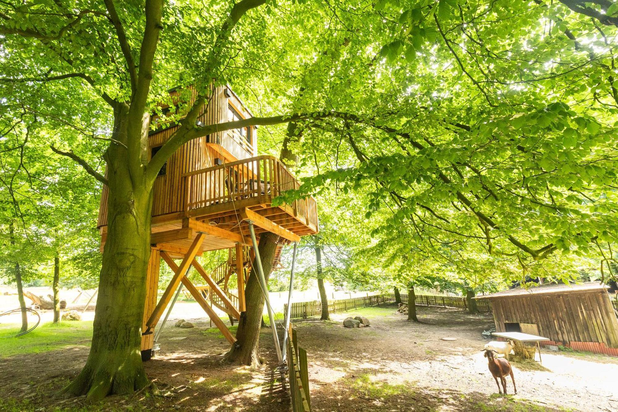 Heide Ferien - Hof Bockelmann Apartamento Bispingen Quarto foto