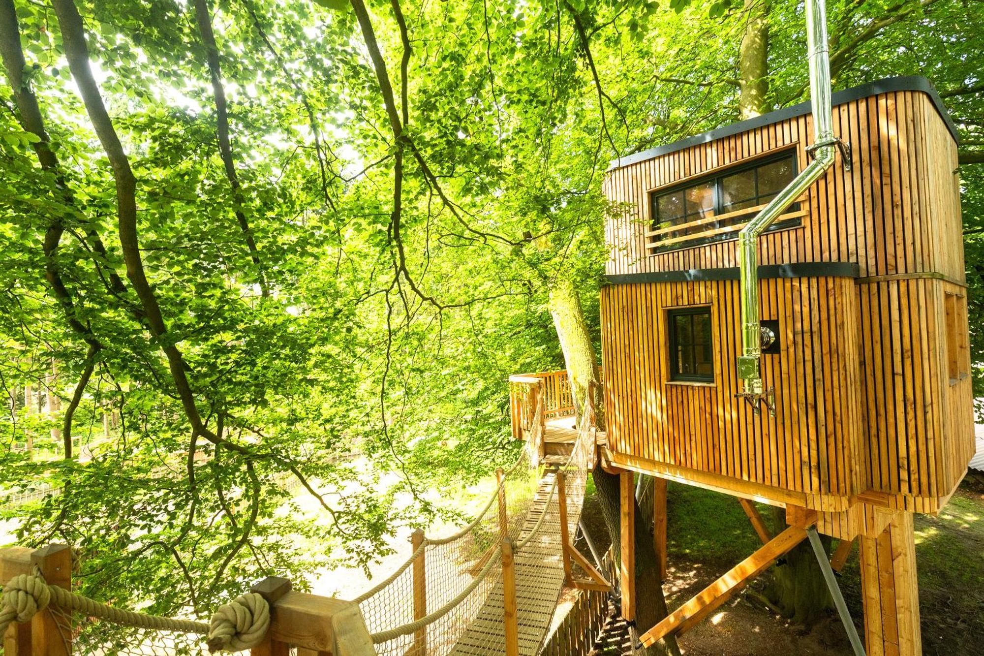 Heide Ferien - Hof Bockelmann Apartamento Bispingen Exterior foto