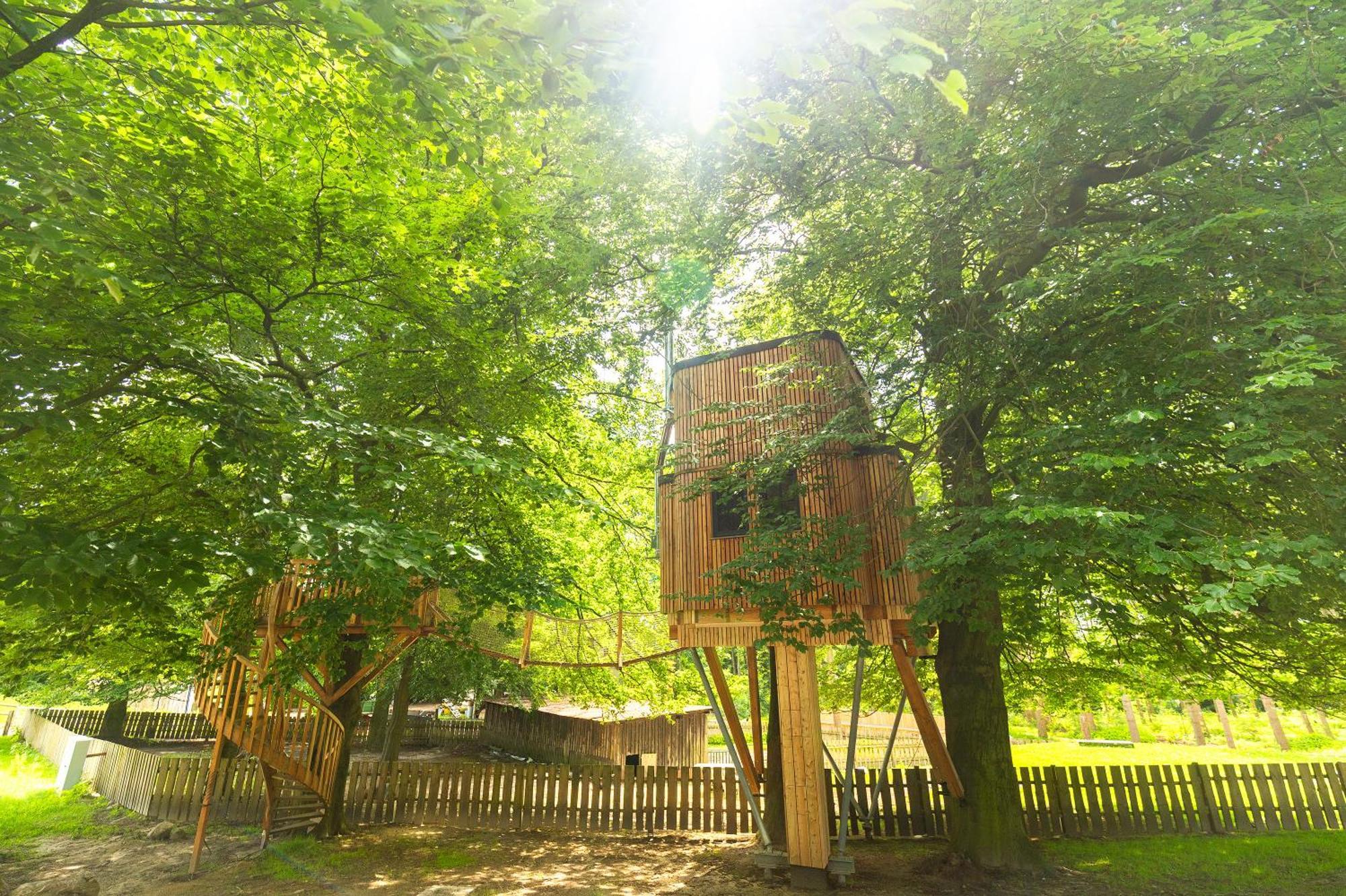 Heide Ferien - Hof Bockelmann Apartamento Bispingen Quarto foto