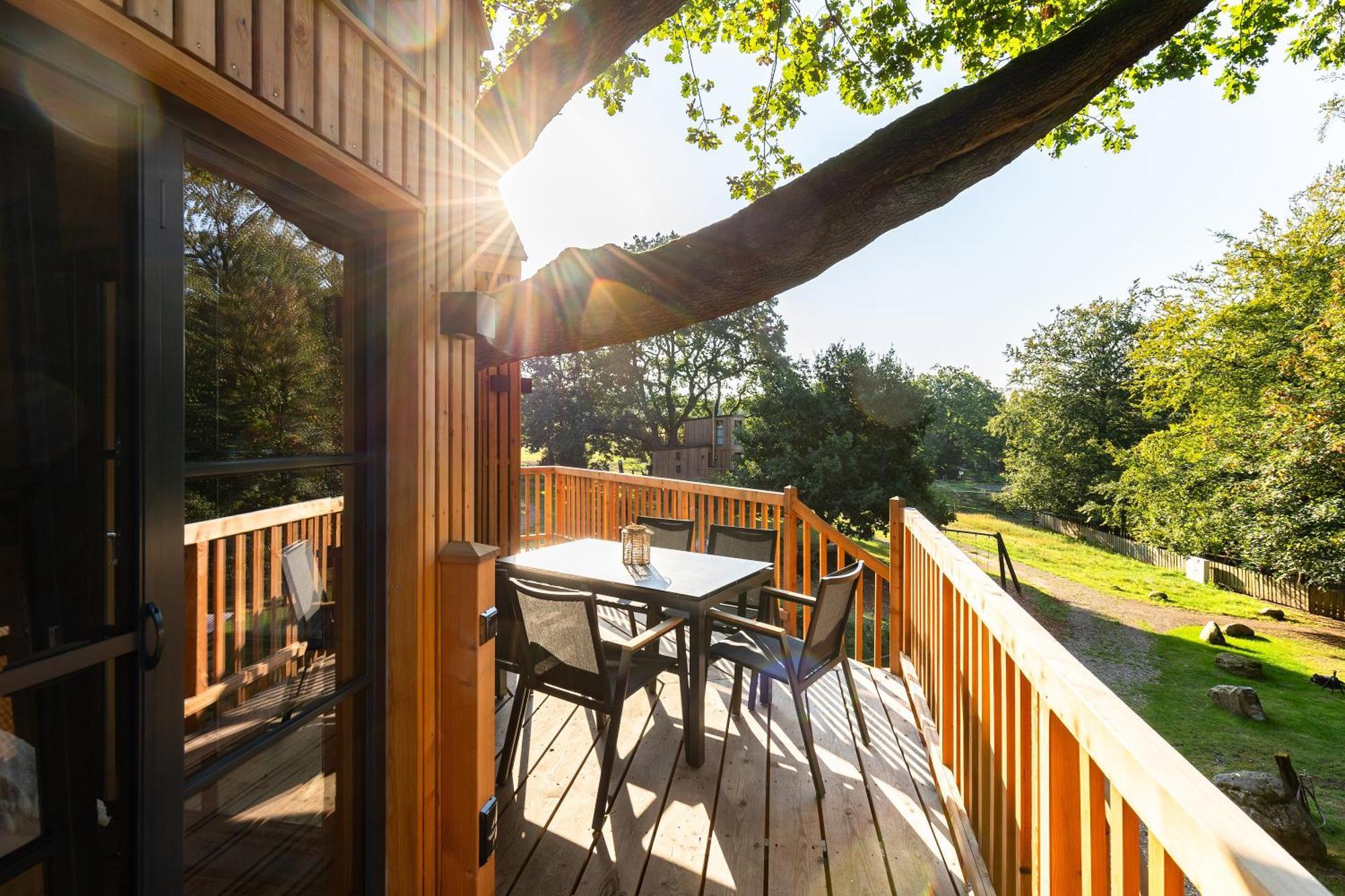 Heide Ferien - Hof Bockelmann Apartamento Bispingen Exterior foto